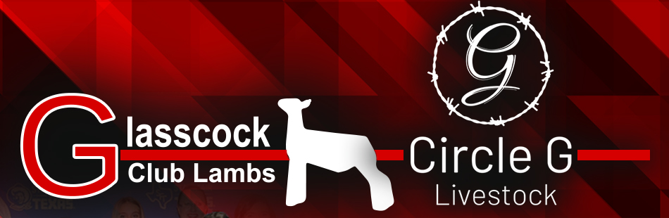 Glasscock Club Lambs